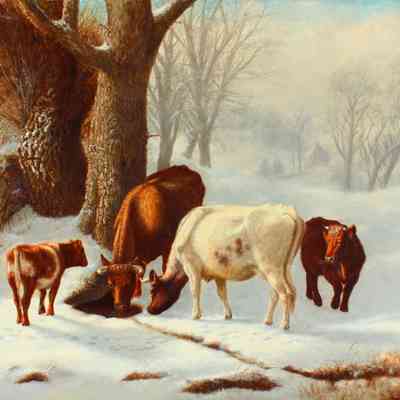 Untitled (Winter Cows) [No date]
