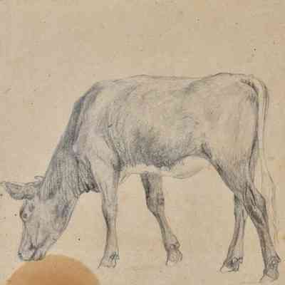 Untitled (Grazing Cow 2) [1868]