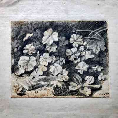 Untitled (Grass and Leaves) [1867]