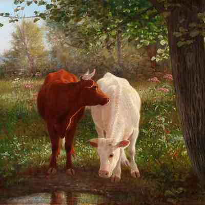 Two Cows at The Wappinger Creek [1882]