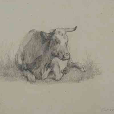 Untitled (Spotted Cow Reclining 2) [1867]