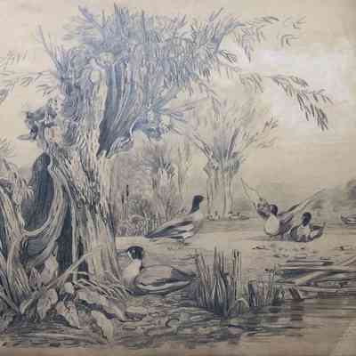 Untitled (Waterfowl) [No date]