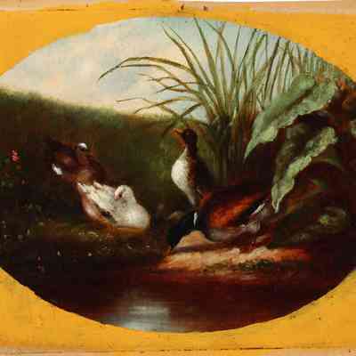 Ducks and Chicken [No date]