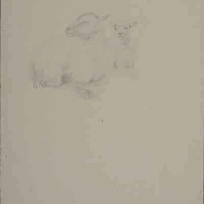 Untitled (Sheep and Lamb) [No date]