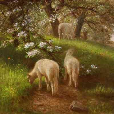 Untitled (Sheep Grazing) [No date]