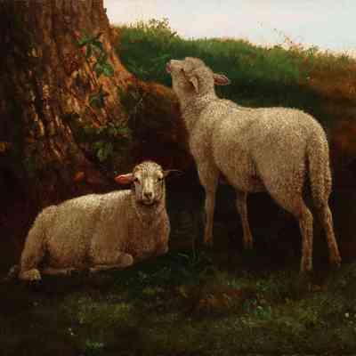Lambs [No date]