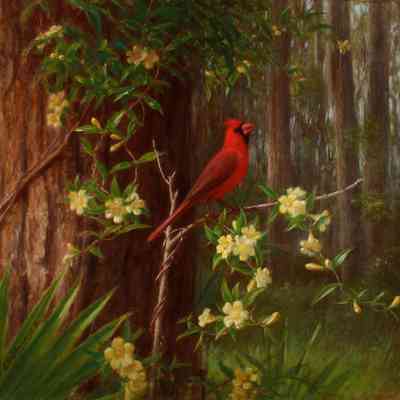 Cardinal Bird and Yellow Jasmine [After 1867]