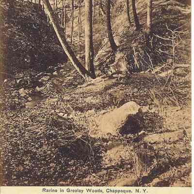 Ravine in Greeley Woods