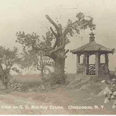 G.D. MacKay Estate
