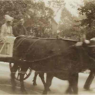 Ox Drawn Cart for the Bicentennial Celebration