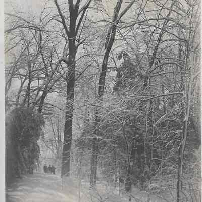 Greeley's Property in the Winter