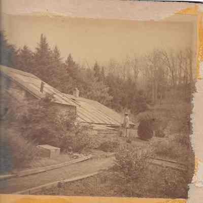 Greeley's Greenhouse