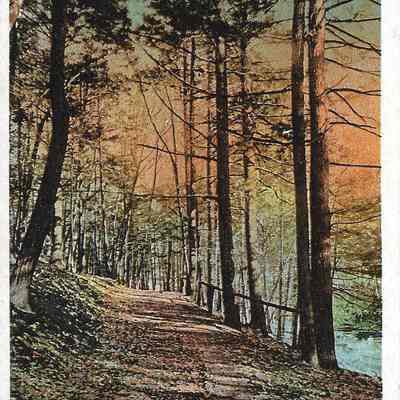 Drive in Greeley Woods