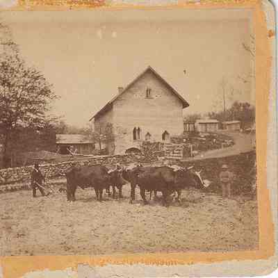 Greeley's Stone Barn and Oxen Team