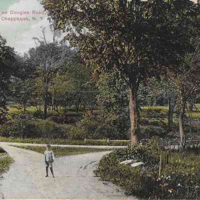 Rustic Bridge on Douglas Road