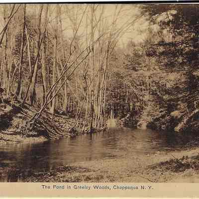 The Pond in Greeley Woods, Chappaqua, N.Y.