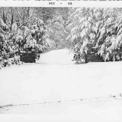 Bedford Road - The Front Entrance to Greeley's Farm and Woods
