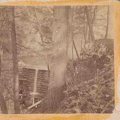 The Dam in Greeley's Woods