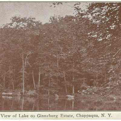 View of Lake on Guinnzburg Estate