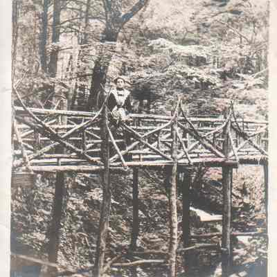 Rustic Bridge in Greeley's Woods