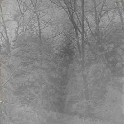 Snow at Greeley's Farm