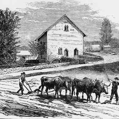 Plowing the Field by the Stone Barn