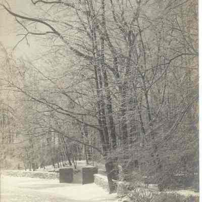 The Orchards Entrance