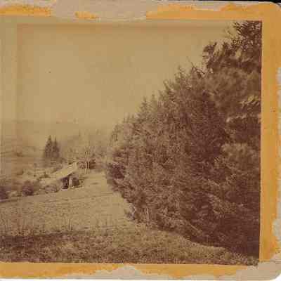 Side View of the Grove, Greenhouse, and Garden, 1872