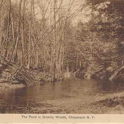 The Pond in Greeley Woods, Chappaqua, N.Y.