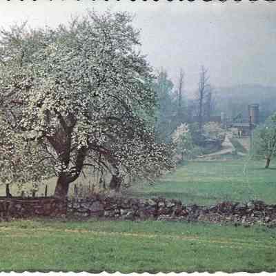 Sutton Farm