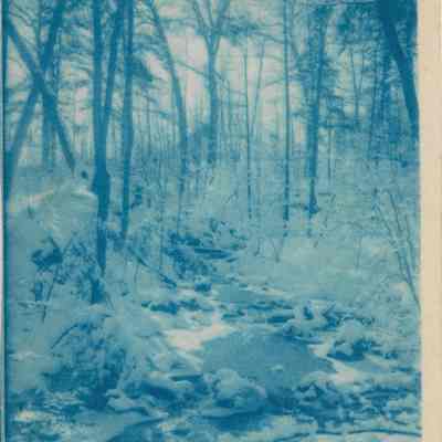 Greeley Woods