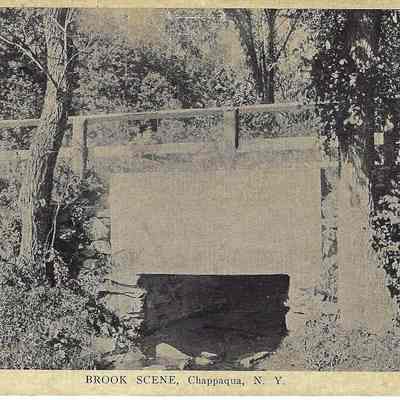 Brook Scene