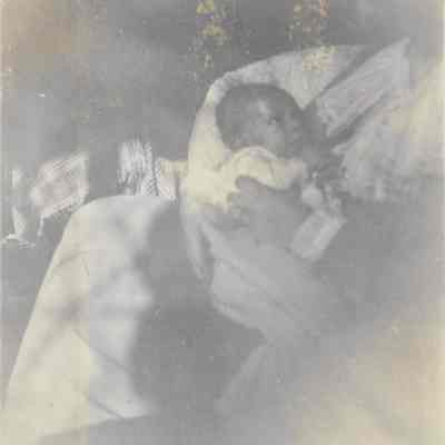 Greeley Stahl