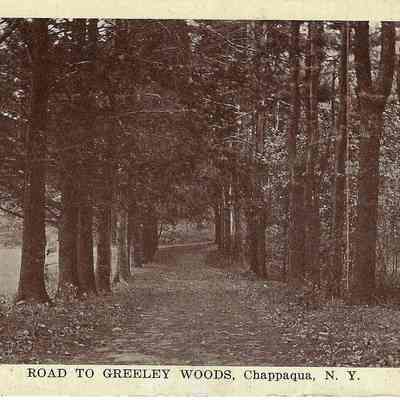 Road to Greeley Woods