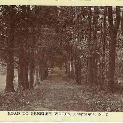 Road to Greeley Woods