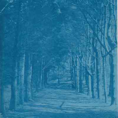 Greeley Woods