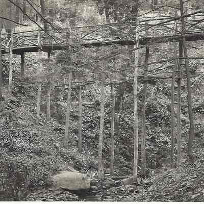 Bridge in Greeley's Woods