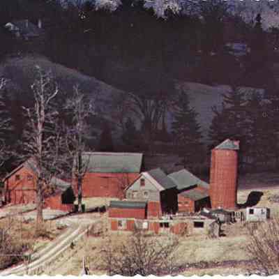 Sutton Farm