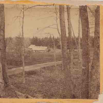 View of the Greenhouse