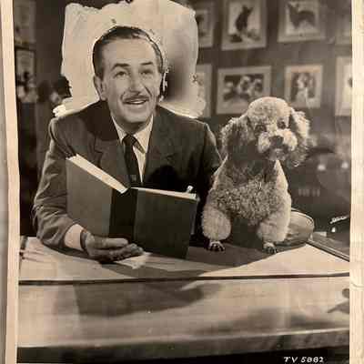 Chicago Tribune Press Photo of Walt Disney