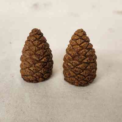 Pinecones | Salt & Pepper Shakers
