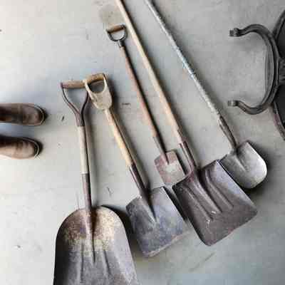 Shovels Lot