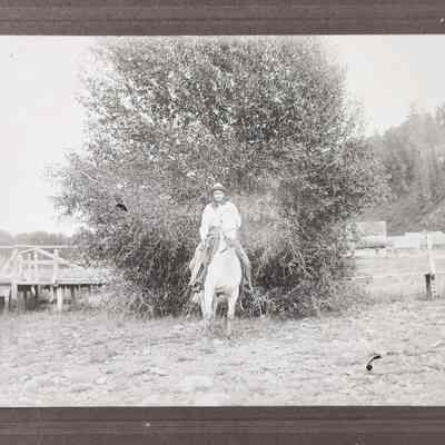 Unidentified