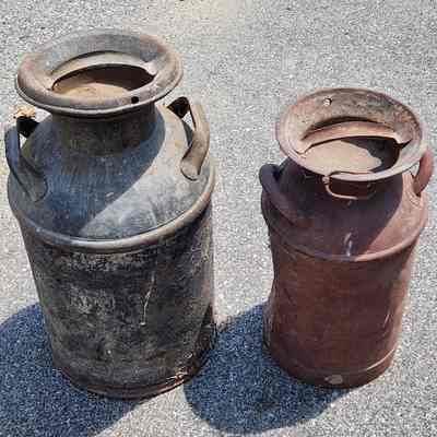 Milk Jug Lot