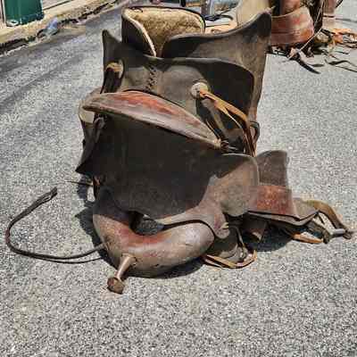 Saddle