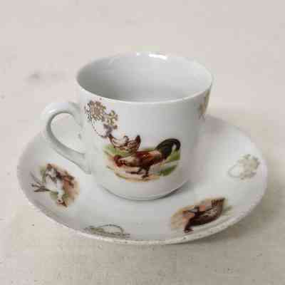 German Fowl Teacup & Saucer