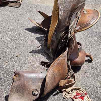 Saddle