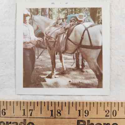 Floyd Bramwell: "This saddle is called a Muley rawhide covered tree that Martin in Bayfield special made for Floyd Bramwell. It has wool padded skirts. The paniers were custom made as well." Gary Bramwell