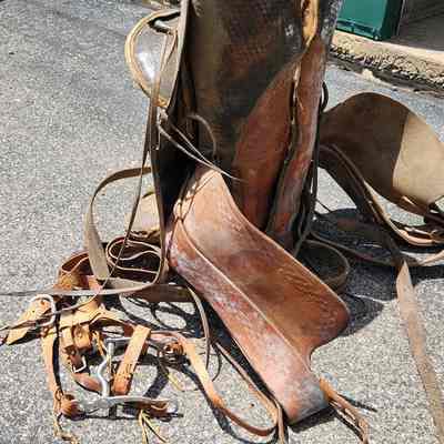Saddle