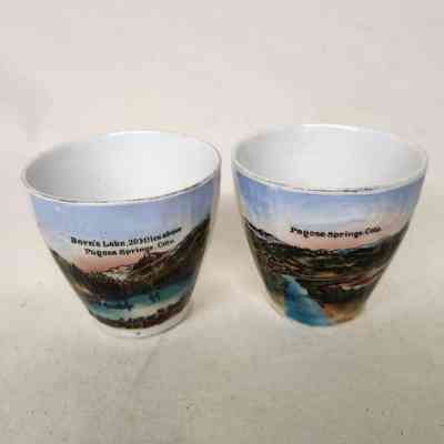 Pagosa Springs Souvenir Tea Cups